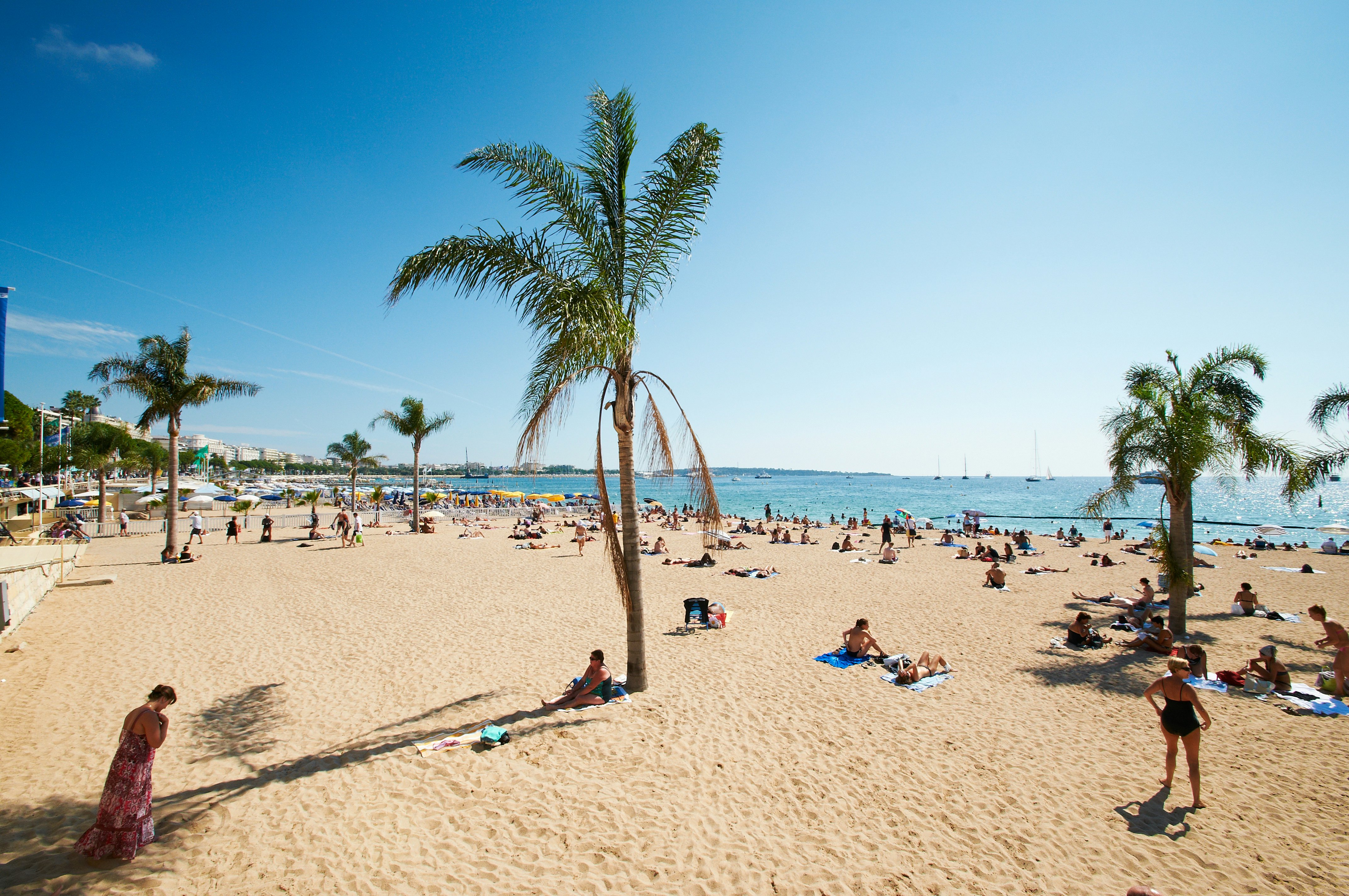 Bright blue sea and skies at a beach at Barcelona, where sunbathers are lying on golden sand studded with palm trees.