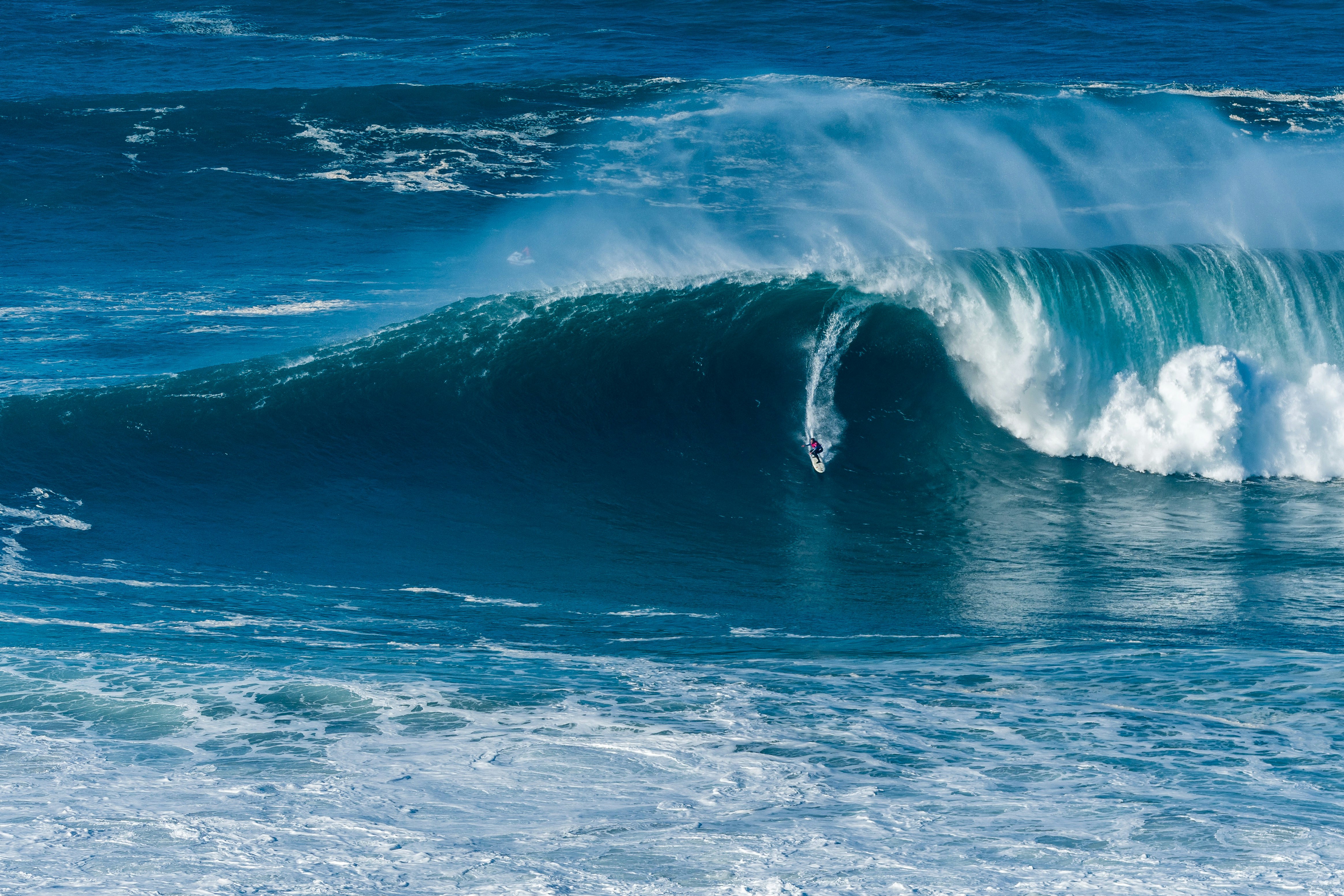 Surfer catching a very large wave at Praia do Norte - Nazare, Portugal.