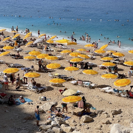 Yellow umbrellas sit in rows across a beach where people relax and swim.