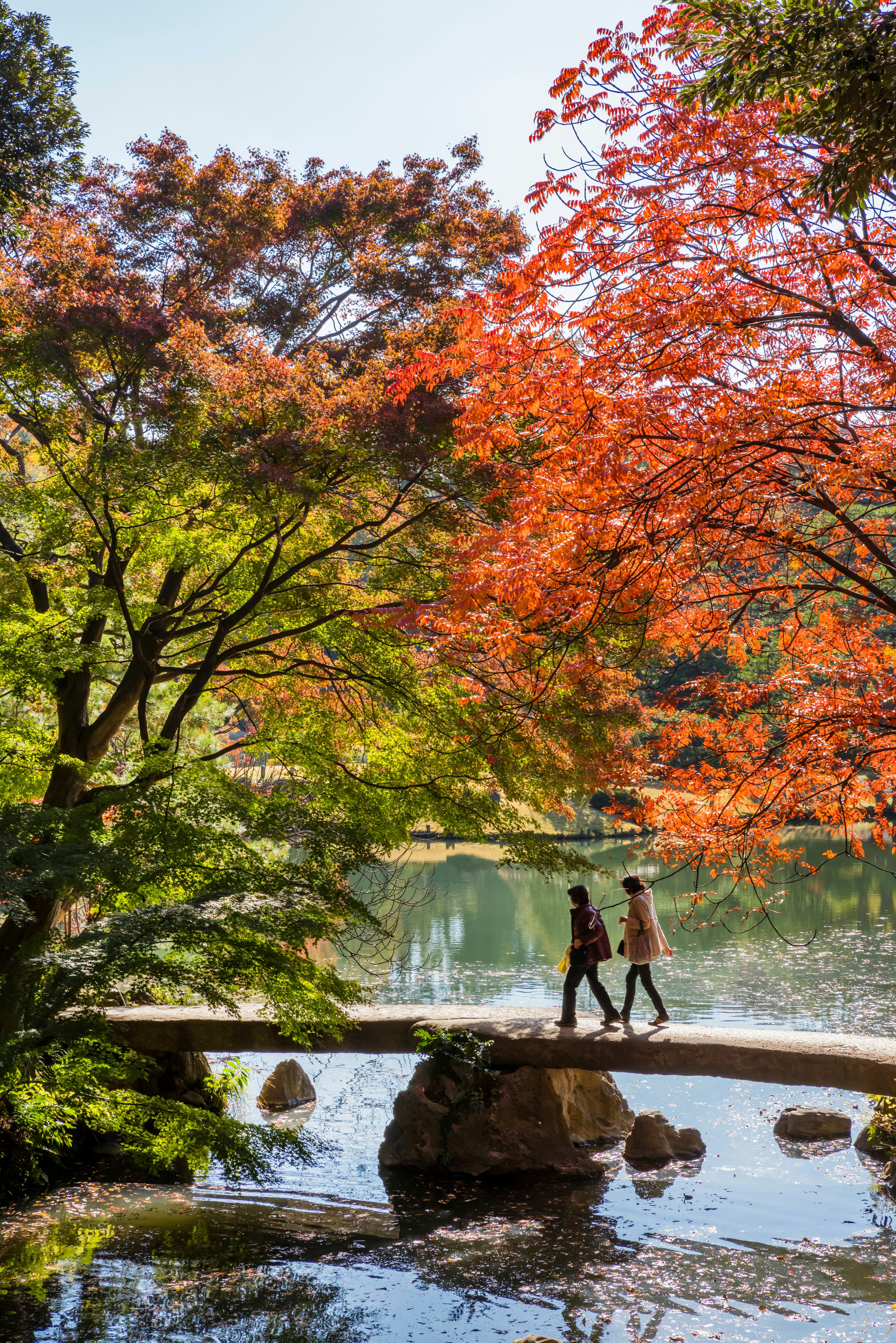 Two figures cross a narrow stone bridge over an ornamental lake in a garden glowing with autumn foliage