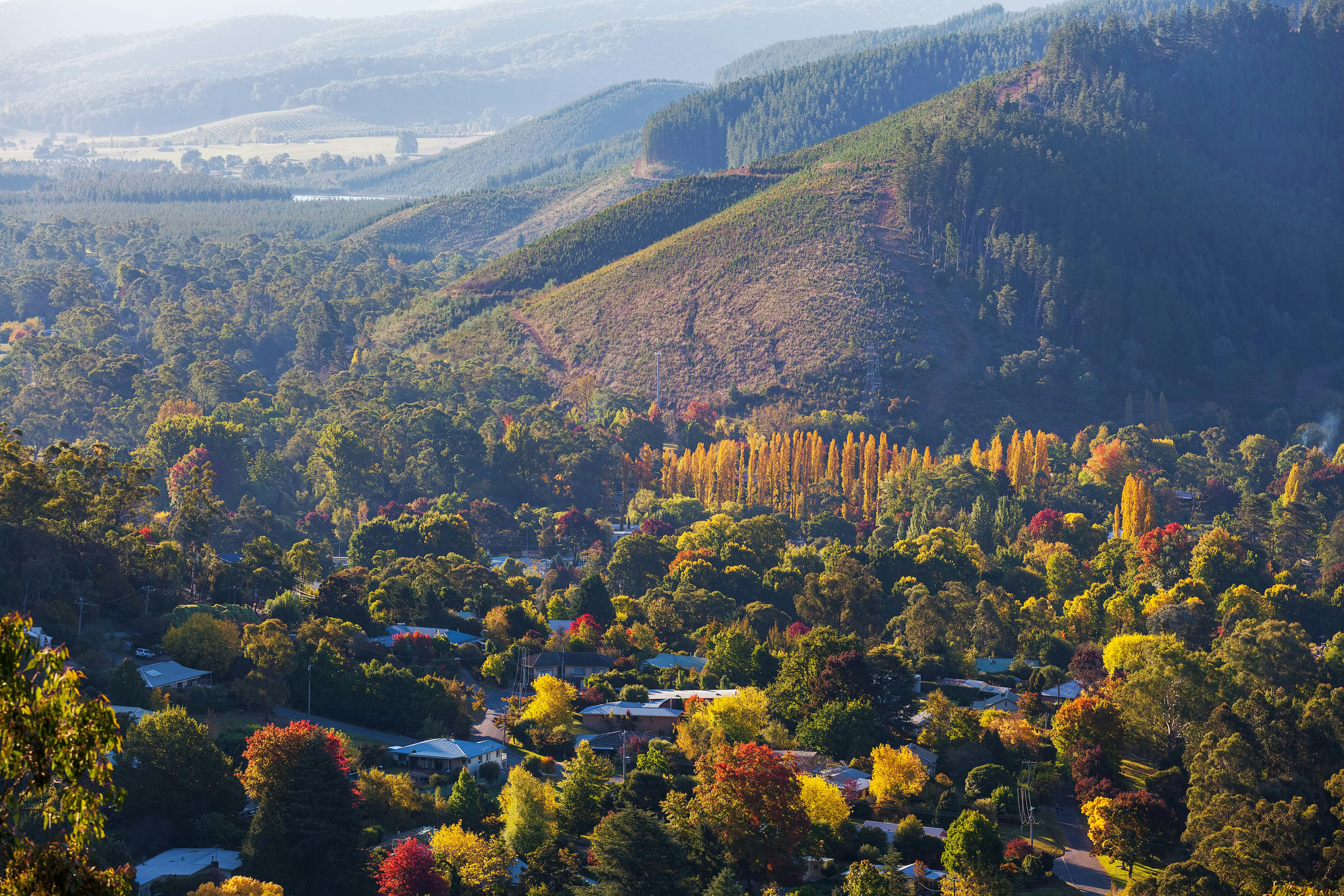 Fall foliage in reds and yellows surround a small town with hills in the background.