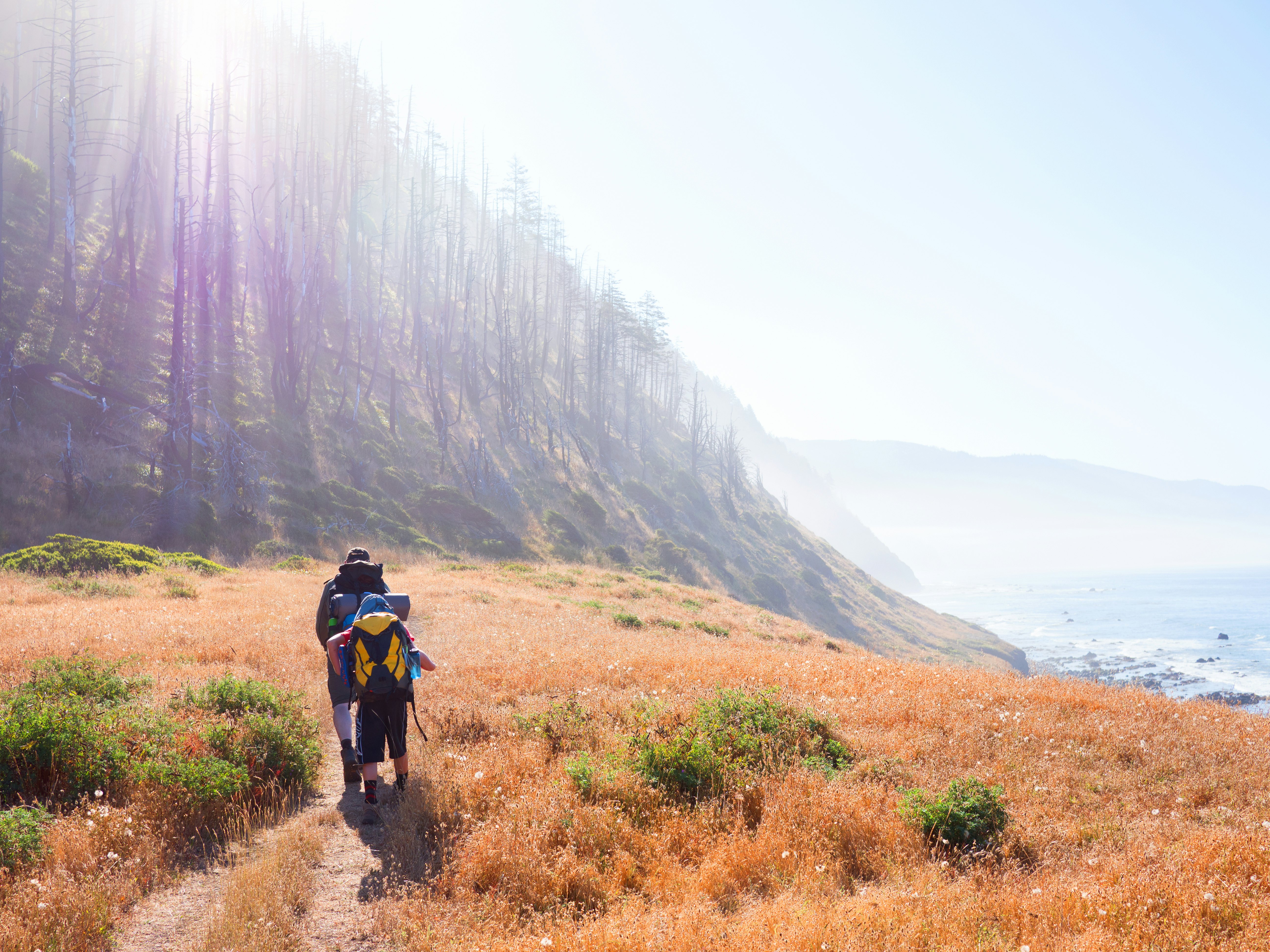 Hiking the Lost Coast in Northern California